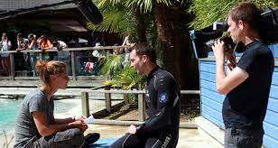 Une saison au zoo sur france 4: Une Saison Au Zoo 4 Un Lancement Decevant Pour La Quotidienne Sur France 4 Toutelatele