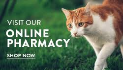 It is always a pleasure to have her to take care of my cats. All Cat Clinic P C Cats Only Veterinarian Springfield Il