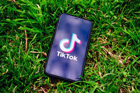 Brands around the world are looking for tiktok influencers. How To Become A Tiktok Influencer Tiktok Influencer Marketing