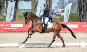 He qualified for the 2020 summer games after finishing 1st in the rankings. Tokyo Olympics Fouaad Mirza Makes A Dashing Debut At The Olympics In Equestrian