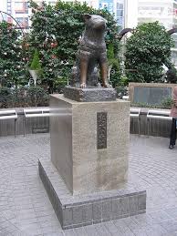 Gercek Hayattan Bir Kopegin Hikayesi Hachiko
