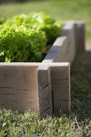 Un Potager Durable Et Sans Outil Avec Orsol Sadovye Idei Sad Ogorod