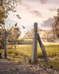 Photography Ideas Pictures Photos Camera Creative Image Free Dowwnload Photo Background Editor Picsart Background Photo Background Images