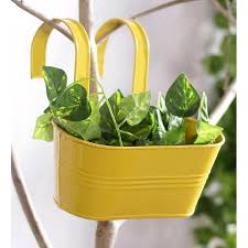 Buy garden planters online india low price. Buy Flower Pots And Planter Online Flower Pots And Planter Online Shopping For Your Home Buy Plant Pots Plants And Pl Railing Planters Planters Planter Pots