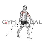 This is low to high cable fly by athletic performance enhancement on vimeo, the home for high quality videos and the people who love them. Cable Low Fly