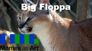 Become a supporter today and help make this dream a reality! Big Floppa A Look At Caracal Memes Youtube