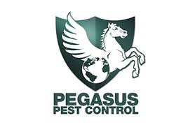 Arlington heights, barrington, barrington hills, bloomingdale, buffalo grove, carol stream, carpentersville, cary, deer park, east dundee, elgin. 15 Best Pest Control Companies In Sacramento Ca Consumeraffairs