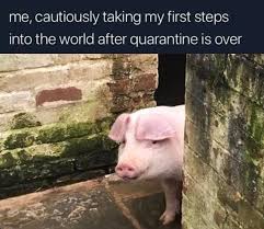 President cyril ramaphosa announced on sunday that the country will immediately move to lockdown alert level 2 due to the increasing number of positive cabinet has decided that country should be on adjusted level 2 with effect from monday, the president said. Quarantine Lockdown Meme Dump Album On Imgur