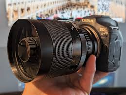 Image result for Stathmostelma fornicatum