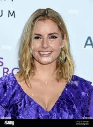 Brianna Hoy's Instagram, Twitter & Facebook