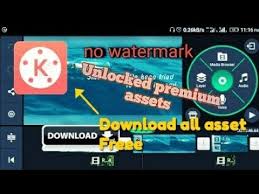 Download All Premium Assets In Kinemaster Youtube