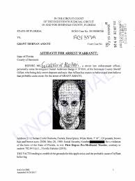 Grant Amato Affidavit Pdf