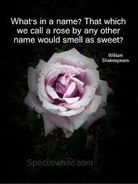 Or is it the other way around? What S In A Name That Which We Call A Rose By Any Other Name Would Smell As Sweet Words Full Of Feelings Name Quotes Celebration Quotes Sweet Words