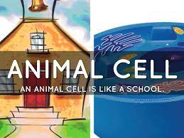 Genetic material, dna is not surrounded by a membrane. Cell Analogy Project By Jordan Lopez