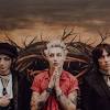 Graphic novel now available, click link below x www.palayeroyale.store. 1