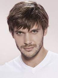 Short Straight 100 Hand Tied Remy Human Brown Mens Wiggs Mens Hairstyles Short Boys Long Hairstyles Wig Hairstyles