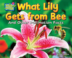 Flowers having copious nectar and red petals such as orchids and pollination by bats (chiropterophily): What Lily Gets From Bee And Other Pollination Facts Plant Ology Lawrence Ellen 9781642807929 Amazon Com Books