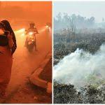 Hal tersebut terjadi lantaran wajahnya yang memang cukup mendukung untuk memerankan tokoh tersebut. Ingat Wan Abud Si Ikonik Di Sinetron Putri Duyung Beginilah Kabar Terkininya Boombastis