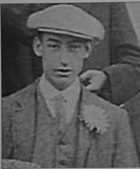 Dudley pub plaques honour three brothers who fought in First World War