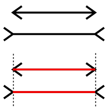 The orientation of the arrowheads affects one's ability to accurately perceive the length of the lines. How Does The Muller Lyer Illusion Work Brain Stuff