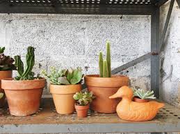 While throwing your succulent in the sink is certainly a viable method, you can practice some more applied techniques for an even better if you enjoyed reading our blog about when you should water your succulents, be sure to check out our other blogs. How Much And How Often To Water Succulents Retro Den Vintage Furniture And Homewares