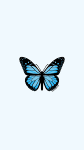 Shop affordable wall art to hang in dorms, bedrooms, offices, or anywhere blank walls aren't welcome. Light Blue Butterfly Butterfly Wallpaper Iphone Blue Butterfly Wallpaper Blue Aesthetic Pastel