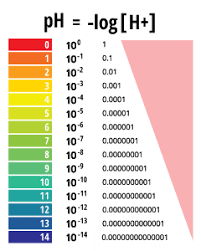 Features Of The Ph Scale Log Model Copy1 By Michelle Willatt1 On Emaze Math Tricks Graphing Scale