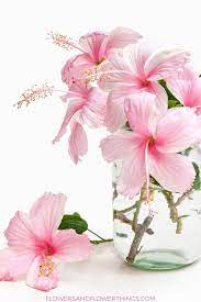 Pin On Pretty Flowers