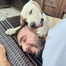 1st place for Toby at the dog show!