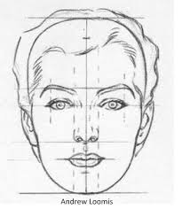 This drawing was filmed in real time and shows the approach of andrew loomis of how to draw a head. 5 Proportions Of The Face To Know Portrait Drawing Face Drawing Cat Face Drawing
