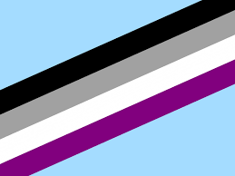This hd wallpaper is about people holding multicolored textile, pride, flag, pride flag, original wallpaper dimensions is 6000x4000px, file size is 2.05mb. Asexual Flag Wallpapers Top Free Asexual Flag Backgrounds Wallpaperaccess