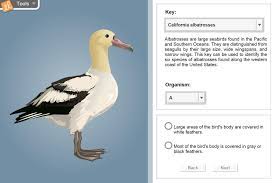 .gizmo cell division answer key pdf | slideblast.com cell division answer key vocabulary: Dichotomous Keys Gizmo Lesson Info Explorelearning