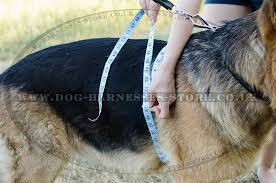 We did not find results for: How To Size Your Dog For The Right Harness Size Dog Walking Harness And Anti Pull Harnesses For Easy Walk In Miraculous Styles Dog Walking Harnesses Store