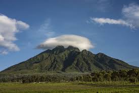 Check spelling or type a new query. Rwanda Definition And Meaning Collins English Dictionary