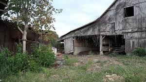 Here's a sneak peak of my upcoming film “Escape to Hell”. I feel incredibly  fortunate to film in this stunning location. More to come soon✨  Director/writer: Jason McDaniel PA: Angela Locke Second