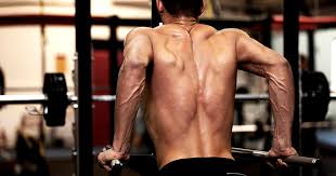 Dips are a great upper body exercise but they do require a bit of equipment. 5 Reasons Why Dips Are So Amazing