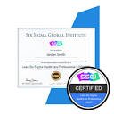 Lean Six Sigma Certification | Online Six Sigma Training Programs ...