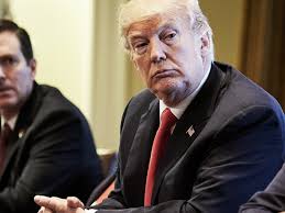 Trump draws Corporate America's criticism with tariff proposal