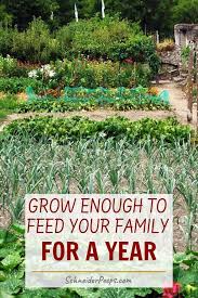 How Much To Plant To Feed Your Family In 2020 Backyard Farming Organic Horticulture Growing Vegetables