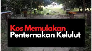 Sediakan satu sudu besar madu kelulut dan minum terus tanpa mencampurkannya dengan bahan lain. Kos Permulaan Untuk Memulakan Ternakan Kelulut Youtube