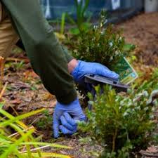 Home pest control in albany, ny. The Best 10 Wildlife Control In Albany Ny Last Updated March 2021 Yelp