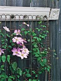 We did not find results for: 18 Wall Trellis Ideas For A Gorgeous Display Of Flowering Vines Garden Trellis Trellis Design Wall Mounted Trellis