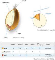 Wheat Flour Wikipedia