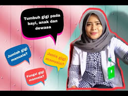 Jenis jenis gigi beserta fungsinya. Tumbuh Gigi Pada Bayi Anak Dewasa Jumlah Gigi Manusia Jenis Gigi Dan Fungsinya Drg Ncy Mumu Youtube