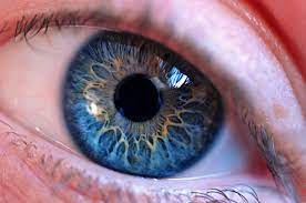 Pin By Anne Christien Bervoets On Amazing Eyes Beautiful Eyes Color Eye Photography Cool Eyes