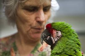 Fundraiser by Amber Chu : For the Birds