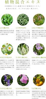 スキンバランス ボディゲル 100ｇ 基礎化粧品 スキンケア化粧品なら緑の森ドクターズコスメ