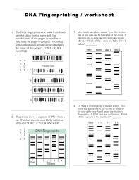 Dna Fingerprinting Worksheet Answers In 2020 Dna Fingerprinting Word Problem Worksheets Paragraph Writing