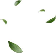 Pin By Manmathan Manmathan On My Saves Matcha Green Tea Matcha Green Tea