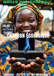 Formation en biocharbon et biogaz : une opportunité pour un avenir durable  🌟* La formation en biocharbon et biogaz est une opportunité unique pour  les professionnels et les entrepreneurs qui souhaitent se